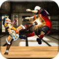 街霸功夫 V1.0 安卓版