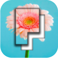 Pictominoes V1.0.1 苹果版