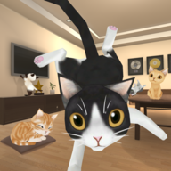 逃离猫咪音乐室 V1.1 安卓版