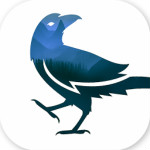 乌鸦之夜 V1.0 安卓版