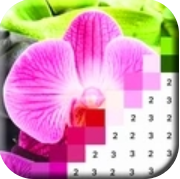 花朵着色 V1.0 安卓版