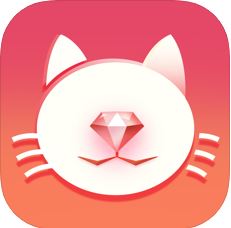 养猫计划 