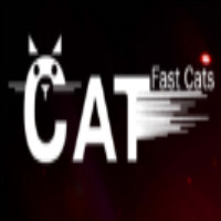 闪电猫 
