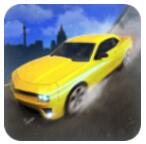 科目二场地模拟 V0.5 安卓版