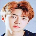 胯下之臣 无限鲜花版