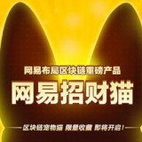 网易招财猫 手机版