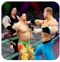 WWE团体世界冠军赛 V0.1 安卓版