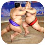 相扑摔跤战士 V1.0.5 安卓版