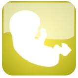 现实人生模拟器 V1.2.4 安卓版