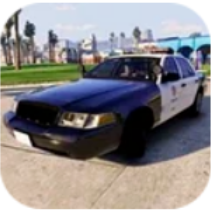 台湾警车模拟器 V1 安卓版