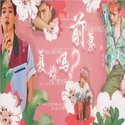 前妻复婚吗 无限鲜花版