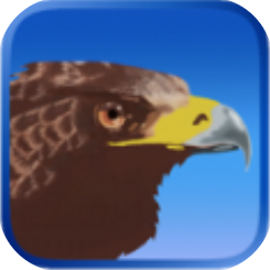 鹰狩猎之旅 V1.121 安卓版