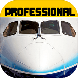 模拟飞行787 V1.9.5 安卓版