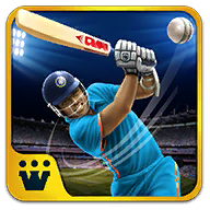 T20板球 V2.8 安卓版