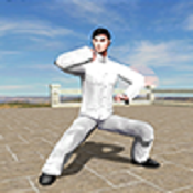 八极拳 V1.0 安卓版