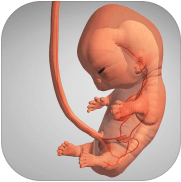 9 Months 免谷歌版