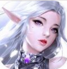 幻想圣域轮回之城 V1.0 安卓版