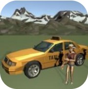 打错出租车了 V3.4 安卓版