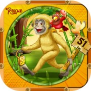 冒险娱乐逃生室 V1.1.4 安卓版