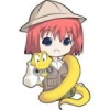樱花之灵 免谷歌版
