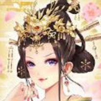 宫之计 V1.0 安卓版