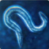 生物孢子的开始 V40.26 安卓版