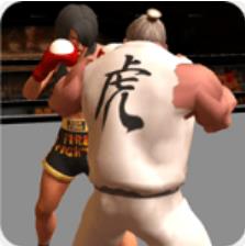 吃我一拳 V1.0 安卓版