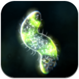 细胞进化 V0.34.12 安卓版