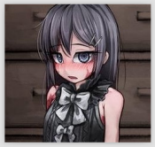 艾莉娜的奴隶日记 全cg解锁版