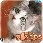  Dreamcat DS hard disk version