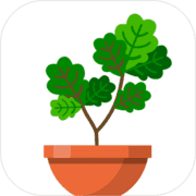 植物日记 V1.2.0 安卓版