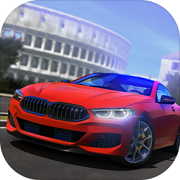 DrivingSchoolSim 无限金币版