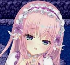 英雄姐妹阿利安娜与马利亚 全cg解锁版