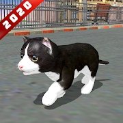 猫咪跑步模拟器2020 V0.1 安卓版
