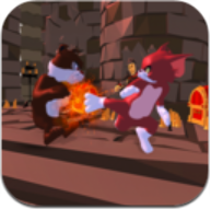 汤姆猫英雄格斗 V1.0 安卓版