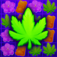 美味的花蕾 V3.39 安卓版
