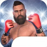 MMA格斗冲突 V1.34 安卓版