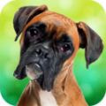 恶犬模拟器 V1.0.4 安卓版