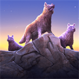狼模拟器进化 V1.0.2.6 安卓版