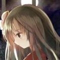 修女赛丽奴的夜行一善 直装版
