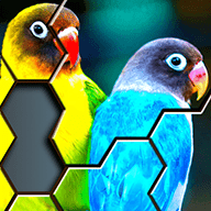 拼图游戏Hexa V2.2.0 安卓版