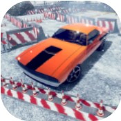 完美开车驾驶 V1.1.4 安卓版