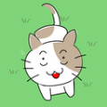 猫去哪儿了 V1.3 安卓版