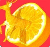 水果雕刻游戏 V28 安卓版