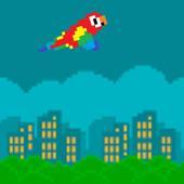 蓬松鹦鹉飞行 V1.2 安卓版