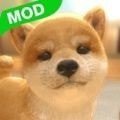 和我的狗在一起 v1.0 安卓版