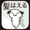 我不要秃头 V1.0 安卓版
