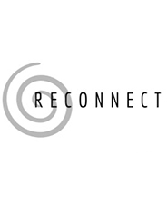 Reconnect Steam正版