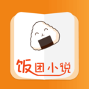饭团小说 去广告版
