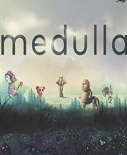 Medulla 硬盘版